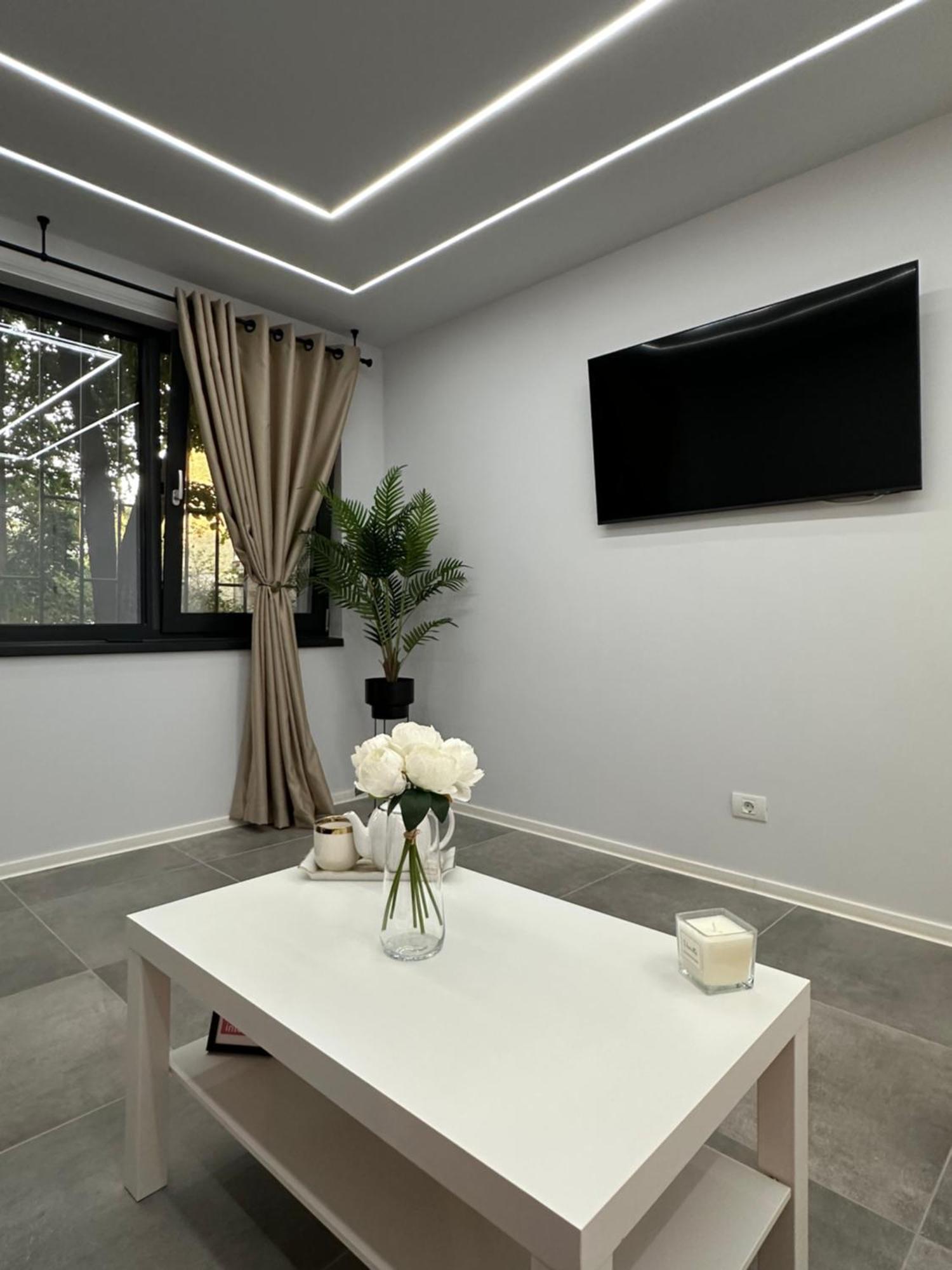 Ppu Home Timisoara Luaran gambar