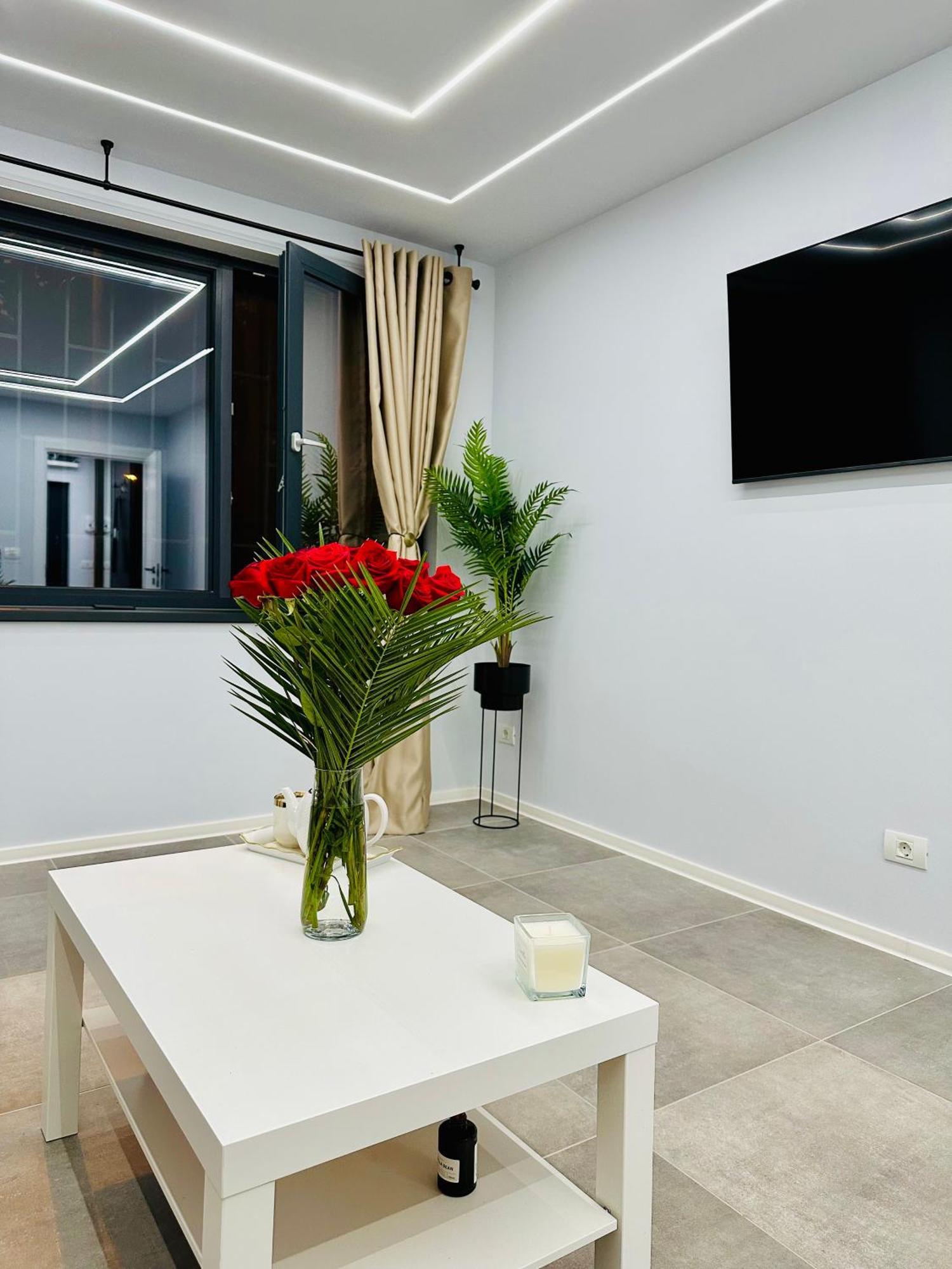 Ppu Home Timisoara Luaran gambar